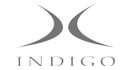 INDIGO Snow Goggles Edge in New Gold